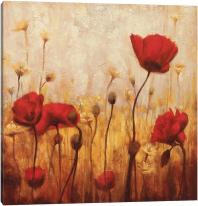 Poppies And Daisies II Canvas Art Print - Daisy Art