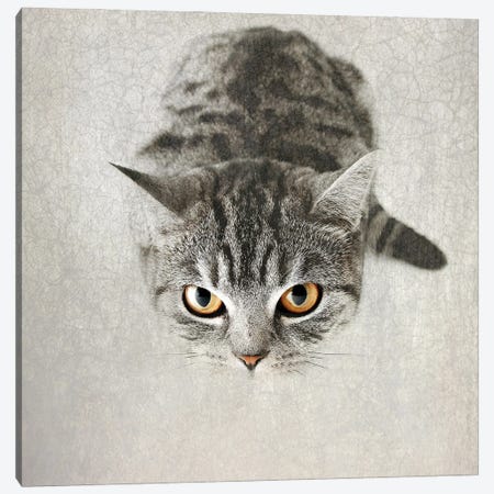 Hello Kitty Canvas Print #NAD2} by Nadia Attura Canvas Print