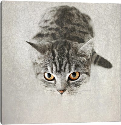 Hello Kitty Canvas Art Print