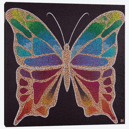 Butterfly Canvas Print #NAH35} by Nadya Al-Haroun Canvas Art Print