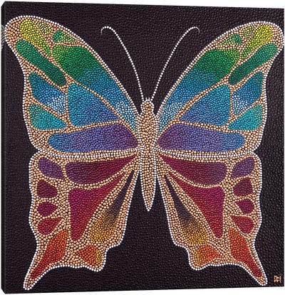 Butterfly Canvas Art Print - Nadya Al-Haroun