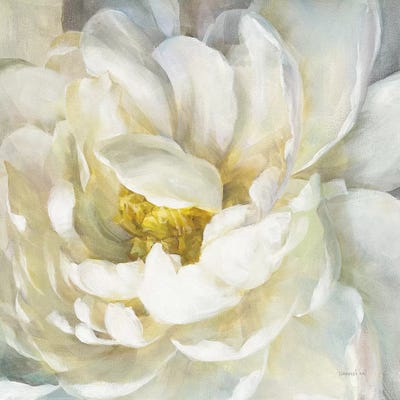 Summer Joy II by Danhui Nai framed canvas print