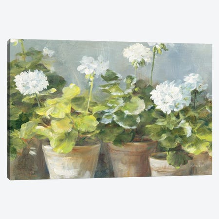 White Geraniums v2 Canvas Print #NAI103} by Danhui Nai Canvas Wall Art