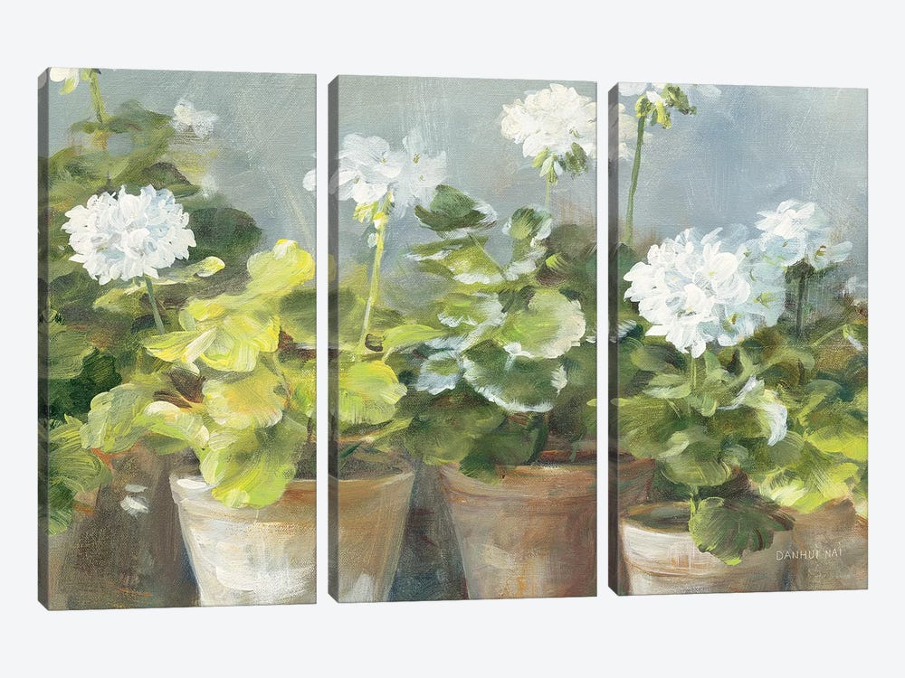 White Geraniums v2 by Danhui Nai 3-piece Canvas Artwork