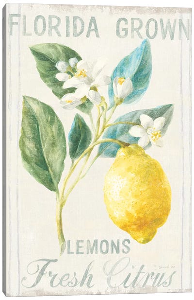 Floursack Lemon I Canvas Art Print - Farmhouse Kitchen Art