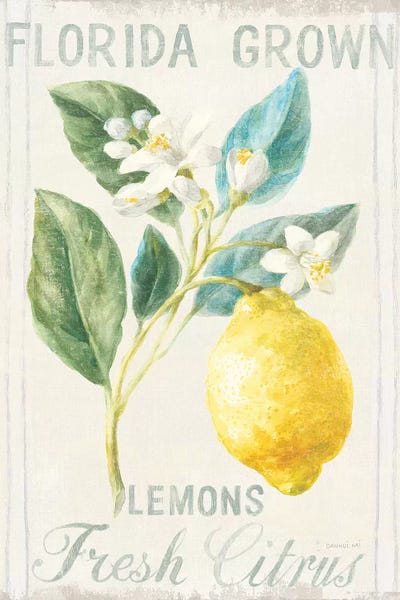 Modern Farmhouse Décor: Floursack Lemon I by Danhui Nai