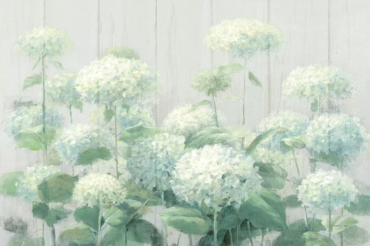 White Hydrangea Garden Sage on Wood 