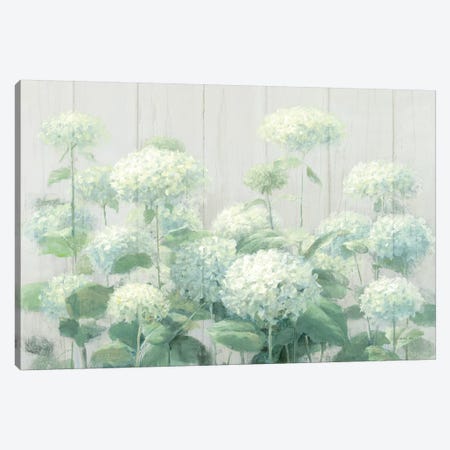 White Hydrangea Garden Sage on Wood  Canvas Print #NAI112} by Danhui Nai Canvas Print