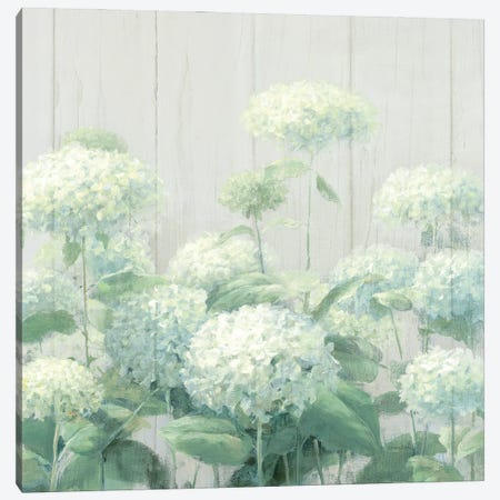 White Hydrangea Garden Sage on Wood Square Canvas Print #NAI113} by Danhui Nai Canvas Art Print