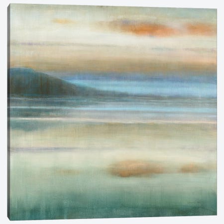 Coastal Sunset Canvas Print #NAI117} by Danhui Nai Canvas Art