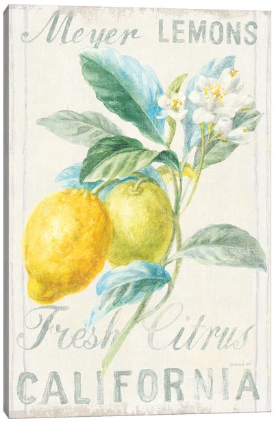 Floursack Lemon II Canvas Art Print - Large Art for Kitchen