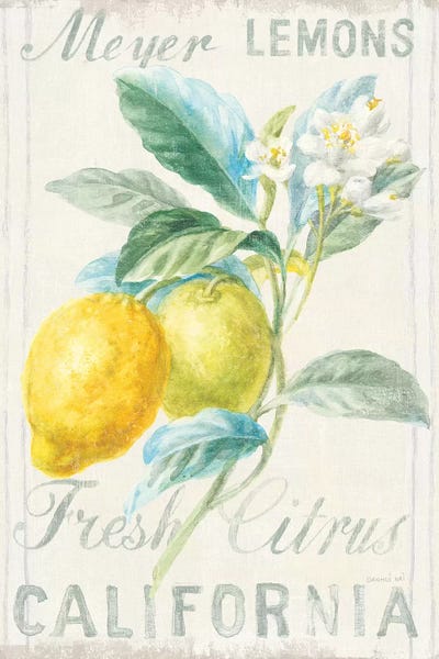Kitchen: Floursack Lemon II by Danhui Nai