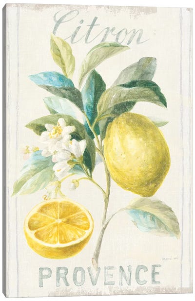 Floursack Lemon IV Canvas Art Print - Large Art for Kitchen
