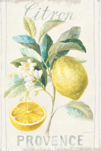 Kitchen: Floursack Lemon IV by Danhui Nai