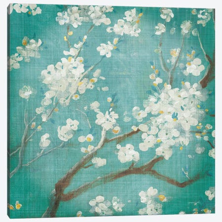 White Cherry Blossoms I Aged no Bird Canvas Print #NAI135} by Danhui Nai Canvas Art