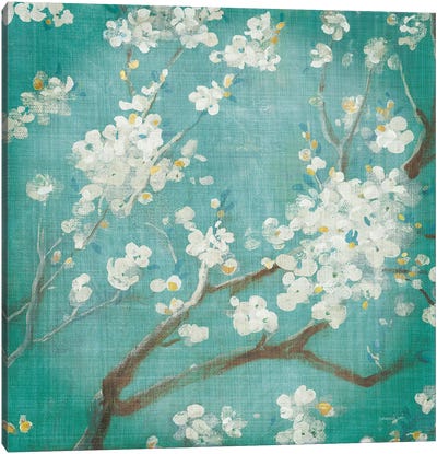 White Cherry Blossoms I Aged no Bird Canvas Art Print - Artists Like Van Gogh