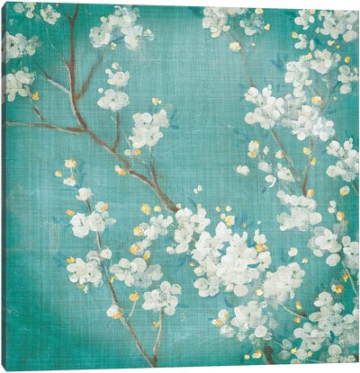 White Cherry Blossoms II Aged no Bird Canvas Art Print - Danhui Nai