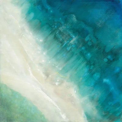 Birdseye View by Danhui Nai framed canvas print