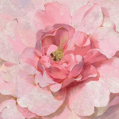 Blushing Metallic Peony by Danhui Nai framed wall art