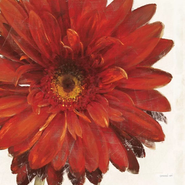 Daisies: Vivid Daisy Dark Red Crop by Danhui Nai