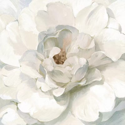 Neutral Peony by Danhui Nai framed canvas print