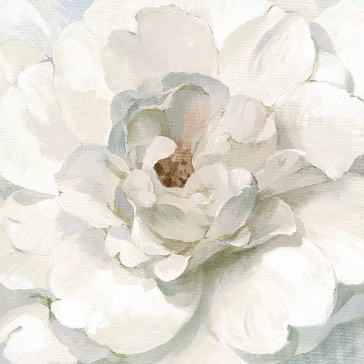 Neutral Peony by Danhui Nai wall art