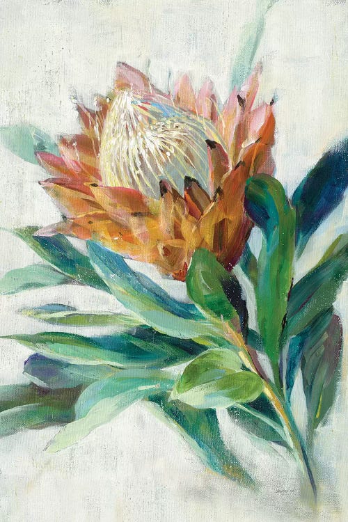 Protea by Danhui Nai wall art