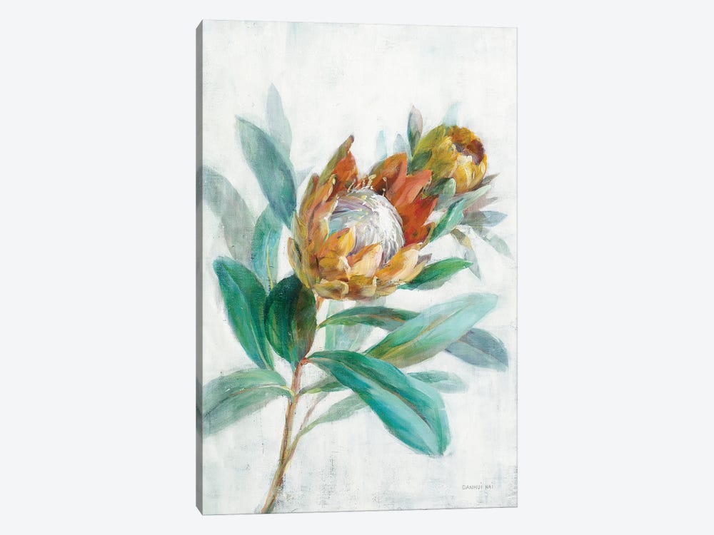 Tropical Protea by Danhui Nai 1-piece Canvas Artwork