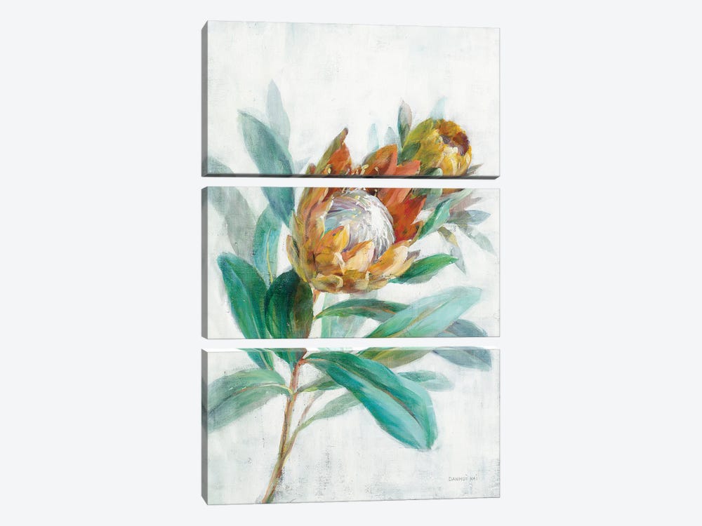 Tropical Protea by Danhui Nai 3-piece Canvas Wall Art
