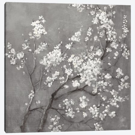 White Cherry Blossoms I on Grey Crop Canvas Print #NAI197} by Danhui Nai Canvas Artwork