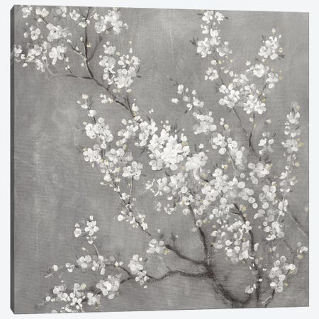 White Cherry Blossoms II on Grey Crop Canvas Print #NAI198} by Danhui Nai Canvas Art Print