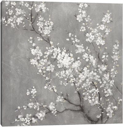 White Cherry Blossoms II on Grey Crop Canvas Art Print - Danhui Nai