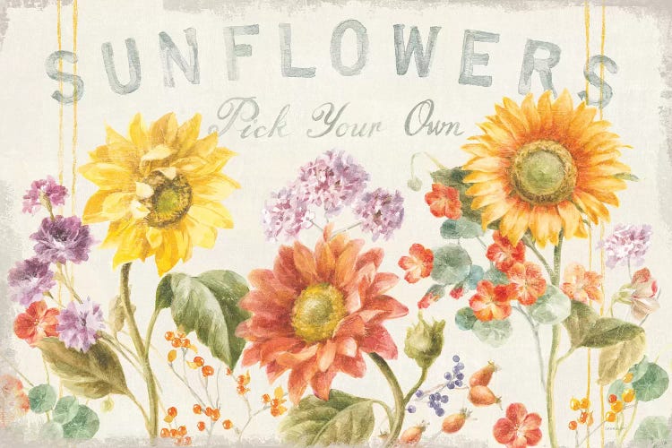 Floursack Autumn IX Sunflowers by Danhui Nai wall art