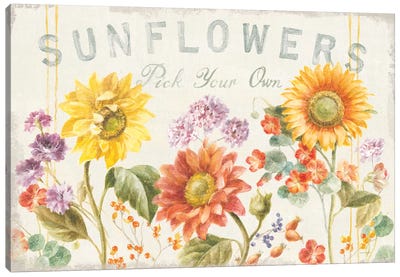 Floursack Autumn IX Sunflowers Canvas Art Print - Danhui Nai