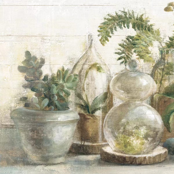 Danhui Nai: Greenhouse Orchids on Shiplap II by Danhui Nai