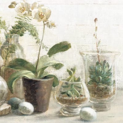 Greenhouse Orchids on Shiplap III by Danhui Nai canvas print