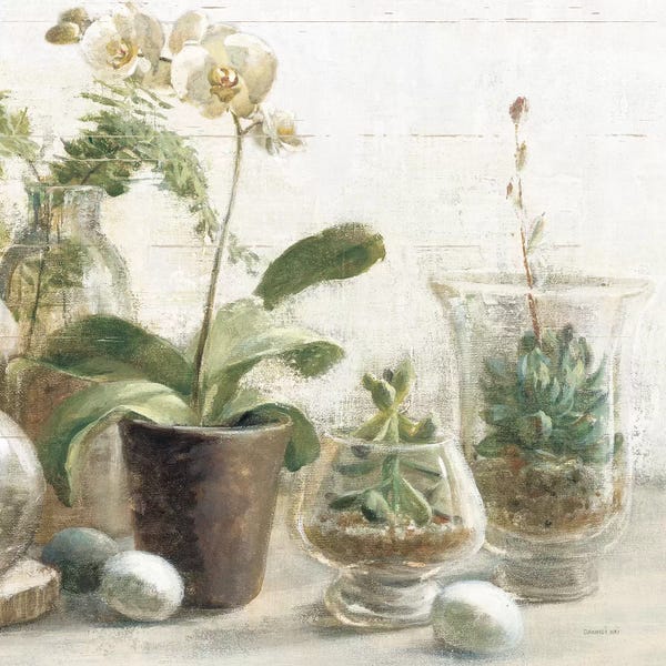 Danhui Nai: Greenhouse Orchids on Shiplap III by Danhui Nai