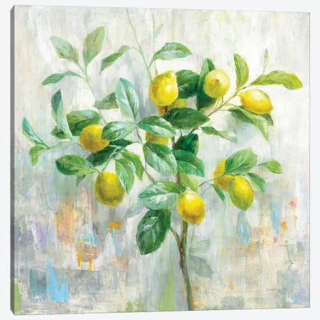 Lemon Branch Canvas Print #NAI236} by Danhui Nai Canvas Art Print