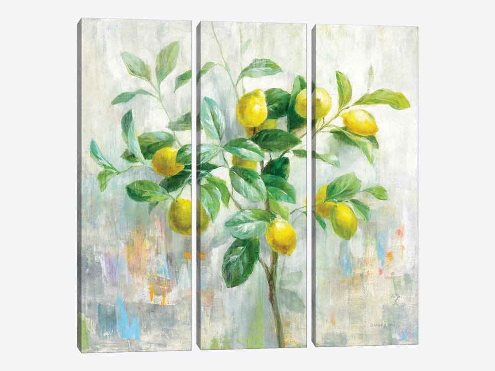 Lemon Branch by Danhui Nai 3-piece Canvas Artwork