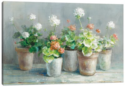 Farmhouse Geraniums Crop Canvas Art Print - Best Selling Floral Art