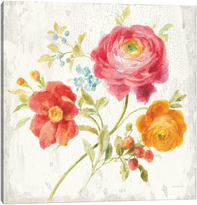 Full Bloom III Canvas Art Print - Danhui Nai
