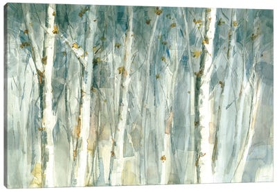 Meadows Edge II Canvas Art Print - Birch Tree Art