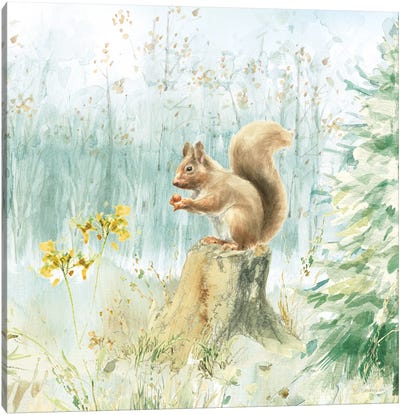 Meadows Edge VI Canvas Art Print - Squirrel Art