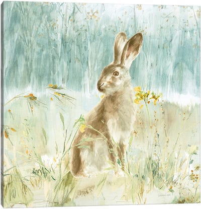 Meadows Edge VII Canvas Art Print - Rabbit Art