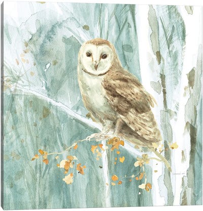 Meadows Edge VIII Canvas Art Print - Owl Art