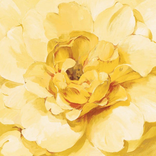 Danhui Nai: Yellow Peony by Danhui Nai