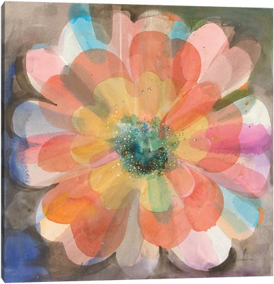Kaleidoscope Flower Canvas Art Print - Danhui Nai