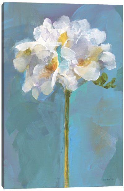 Modern Floral IV Canvas Art Print - Danhui Nai