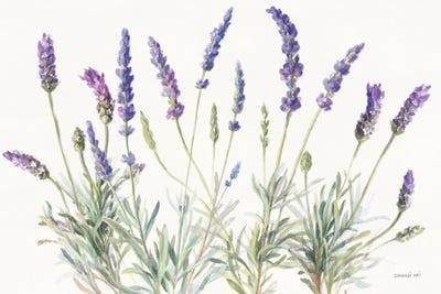 Floursack Lavender V on Linen by Danhui Nai framed wall art