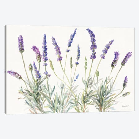 Floursack Lavender V on Linen Canvas Print #NAI363} by Danhui Nai Canvas Wall Art